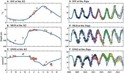 Roles of Iron Limitation in Phytoplankton Dynamics in the Western and Eastern Subarctic Pacific